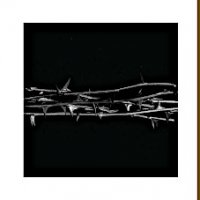 Amenra - De Doorn DoLP