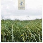 Anchor - Recovery LP