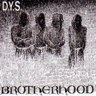 DYS - Brotherhood LP