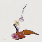 Future Islands – Far Field LP