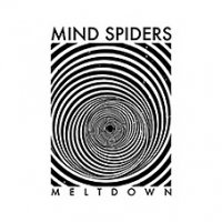 Mind Spiders - Meltdown LP