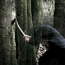 Baptists - Bushcraft LP - zum Schließen ins Bild klicken