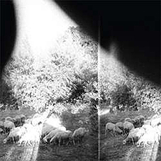 Godspeed You! Black Emperor - Assunder, Sweet and Other LP - zum Schließen ins Bild klicken